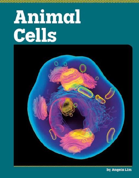 Animal Cells
