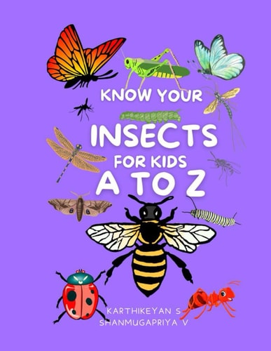 Know Your Insects for Kids A to Z