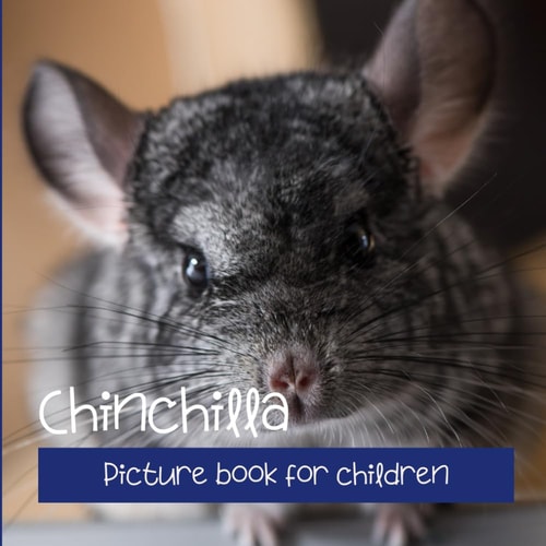 Chinchilla Picture Book for Children