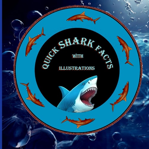 Quick Shark Facts with Illustrations