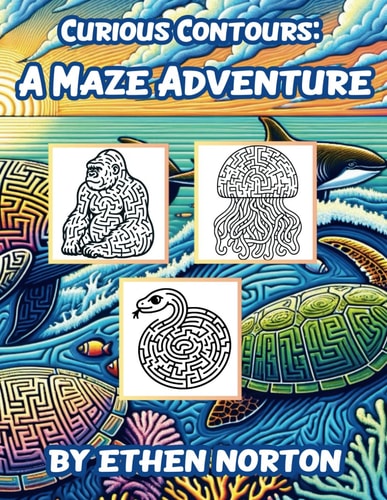 Curious Contours A Maze Adventure
