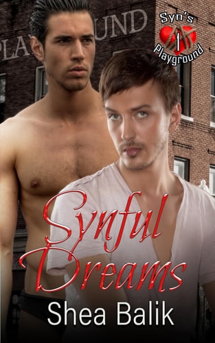 Synful Dreams A M/M BDSM Romance