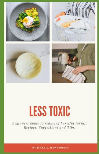 Less Toxic Beginners Guide to Reducing Harmful Toxins: Recipes, Suggestions and Tips