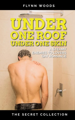 Under One Roof Under One Skin A Steamy, Enemies to Lovers Gay Romance