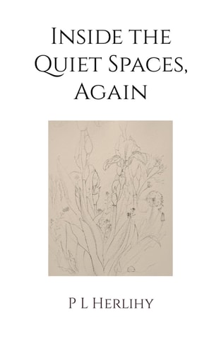 Inside the Quiet Spaces, Again