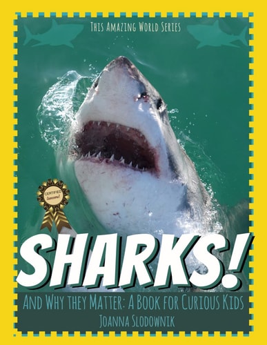 Sharks! And Why They Matter A Book for Curious Kids