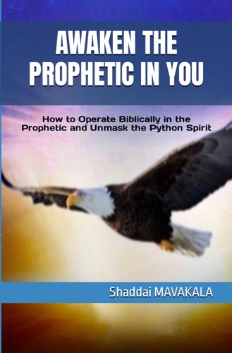 Awaken the Prophetic in You How to Operate Biblically in the Prophetic and Unmask the Python Spirit
