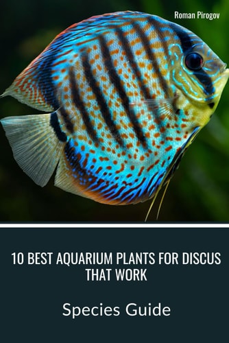 10 Best Aquarium Plants for Discus that Work Species Guide