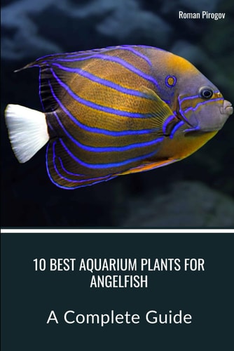 10 Best Aquarium Plants for Angelfish A Complete Guide