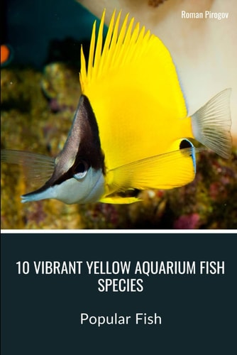 10 Vibrant Yellow Aquarium Fish Species Popular Fish