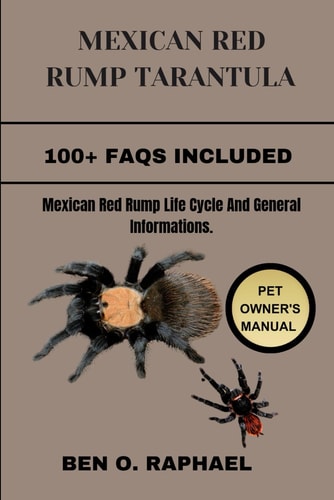 Mexican Red Rump Tarantula Mexican Red Rump Life Cycle And General Informations.