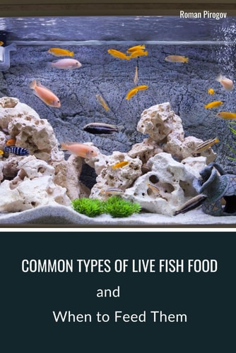 Common Types of Live Fish Food When to Feed Them