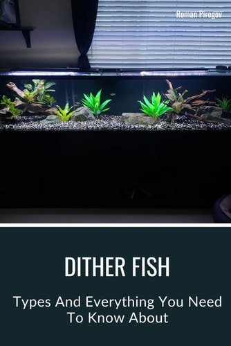 Dither Fish Types And Everything You Need To Know About