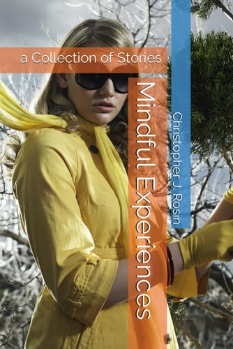Mindful Experiences A Collection of Stories