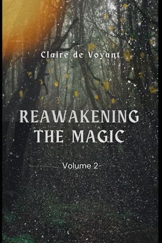 Reawakening the Magic - Volume 2 By Facing the Shadows