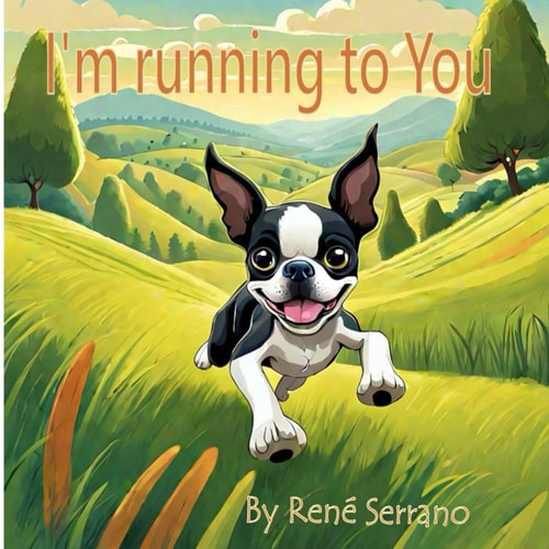 I'm Running to You