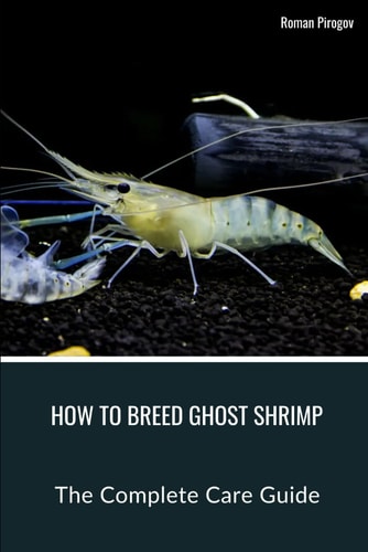 How To Breed Ghost Shrimp The Complete Care Guide