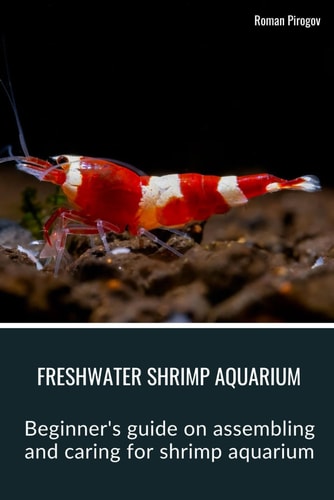 Freshwater Shrimp Aquarium Beginner's Guide on Assembling and Caring for Shrimp Aquarium