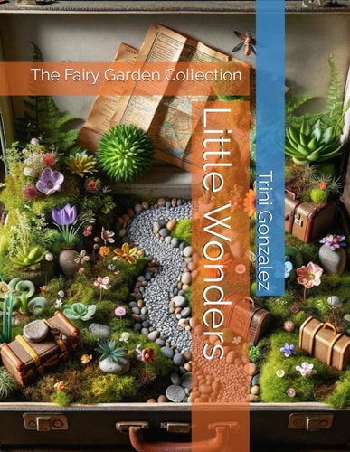 Little Wonders The Fairy Garden Collection