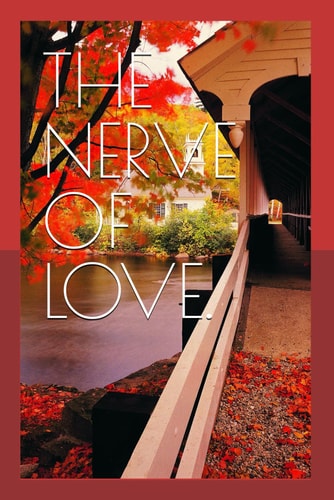 The Nerve of Love.
