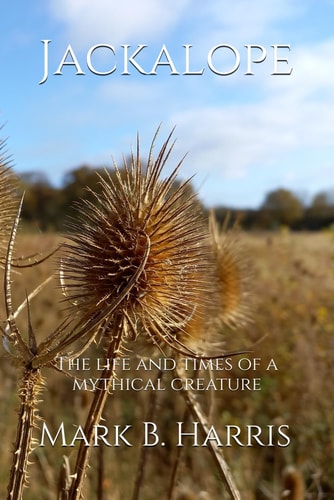 Jackalope The Life and Times of a Mythical Creature