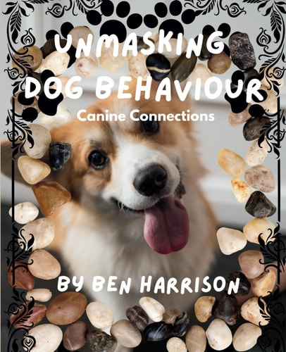 Unmasking Dog Behaviour Canine Connections