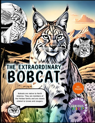 The Extraordinary Bobcat, Kids 5-16, Big Cat Coloring Book Educational Coloring Book