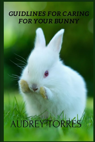 Guidelines for Caring for Your Bunny