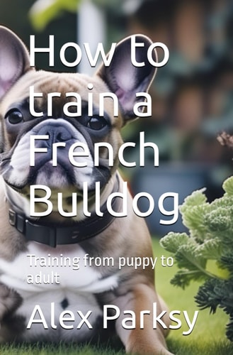 How to Train a French Bulldog Training from Puppy to Adult
