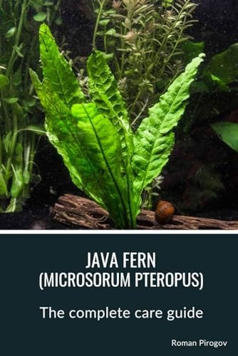 Java Fern (microsorum Pteropus) The Complete Care Guide