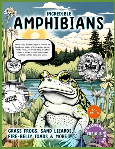Incredible Amphibians, Kids K-12 Wildlife Coloring Book Educational Coloring Book