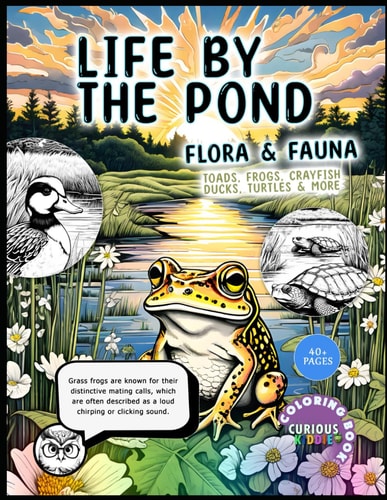 Life By The Pond, Kids K-12, Aquatic, Semi-Aquatic Wild Life Coloring Book Educational Coloring Book