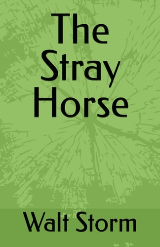 The Stray Horse