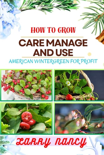How to Grow Care Manage and Use American Wintergreen for Profit One Touch Guide On Cultivating, Nurturing, And Utilizing American Wintergreen For Financial Success