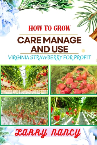 How to Grow Care Manage and Use Virginia Strawberry for Profit One Touch Guide On Cultivating, Nurturing, And Utilizing Virginia Strawberry For Financial Success