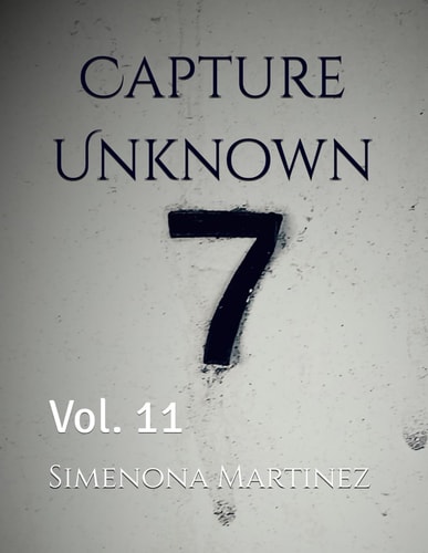 Capture Unknown Vol. 11