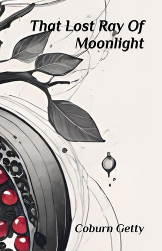 That Lost Ray Of Moonlight