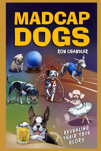 Madcap Dogs Revealing Their True Glory