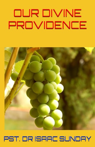 Our Divine Providence