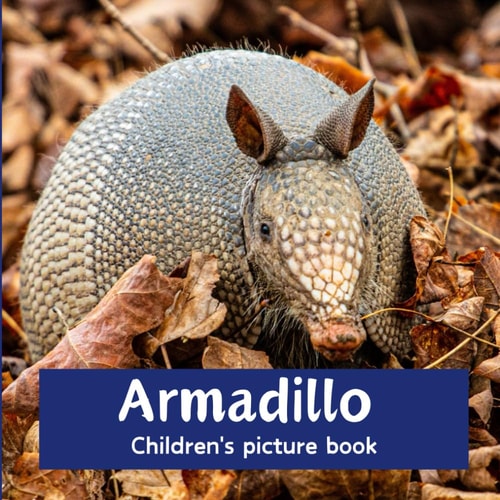 Armadillo Children's Picture Book