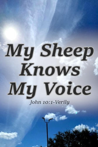 My Sheep Knows My Voice