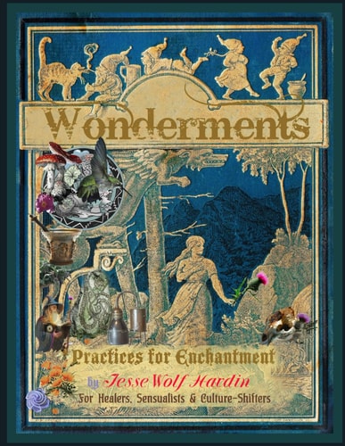 Wonderments Practices For Enchantment For Healers, Visionaries, Sensualists & Culture-Shifters
