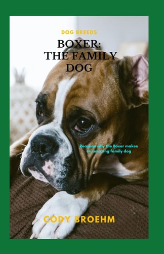 Boxer THE FAMILY DOG: Reasons why the Boxer Makes an Amazing Family Dog