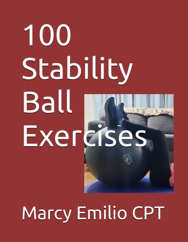 100 Stability Ball Exercises