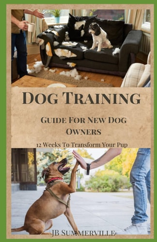 Dog Training Guide For New Dog Owners