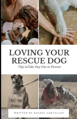 Loving Your Rescue Dog Tips to Take Day One to Forever