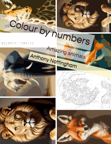 Colour by Numbers Amazing Animals