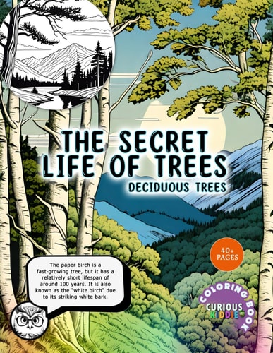 The Secret Life of Trees Deciduous Trees, Kids 5-16, Forest Coloring Book: Educational Coloring Book
