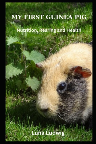 My First Guinea Pig Nutrition, Rearing and Health