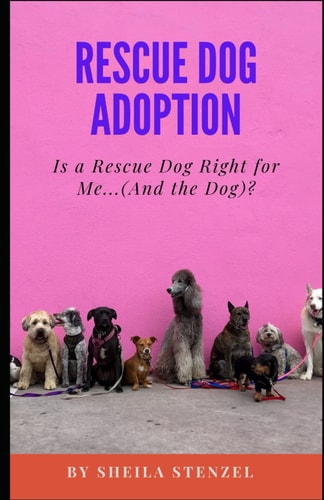 Rescue Dog Adoption Is A Rescue Dog Right For Me...(And The Dog?)